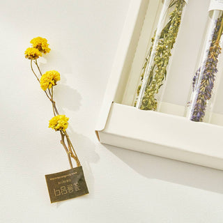 Combination Flower Teastick Gift Set (1 set = 5 sticks)