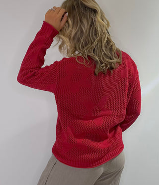Open weave crew neck sweater with daisy pattern in rust red and taupe colors