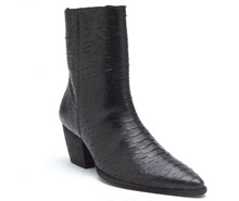 Caty Black Snake Boots by Matisse