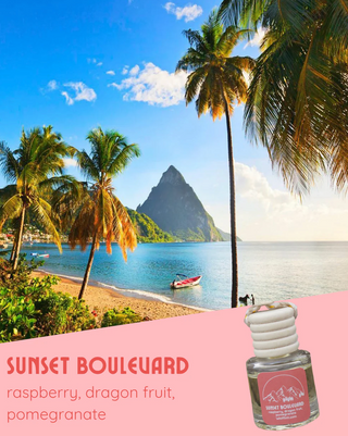 Car Fresheners - Surfs Up