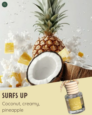 Car Fresheners - 6 Pack