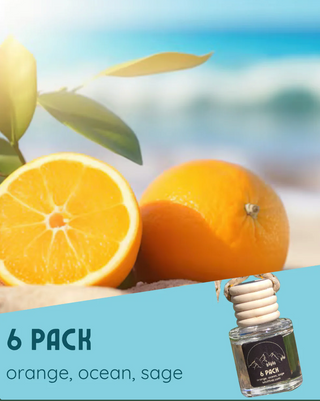 Car Fresheners - 6 Pack